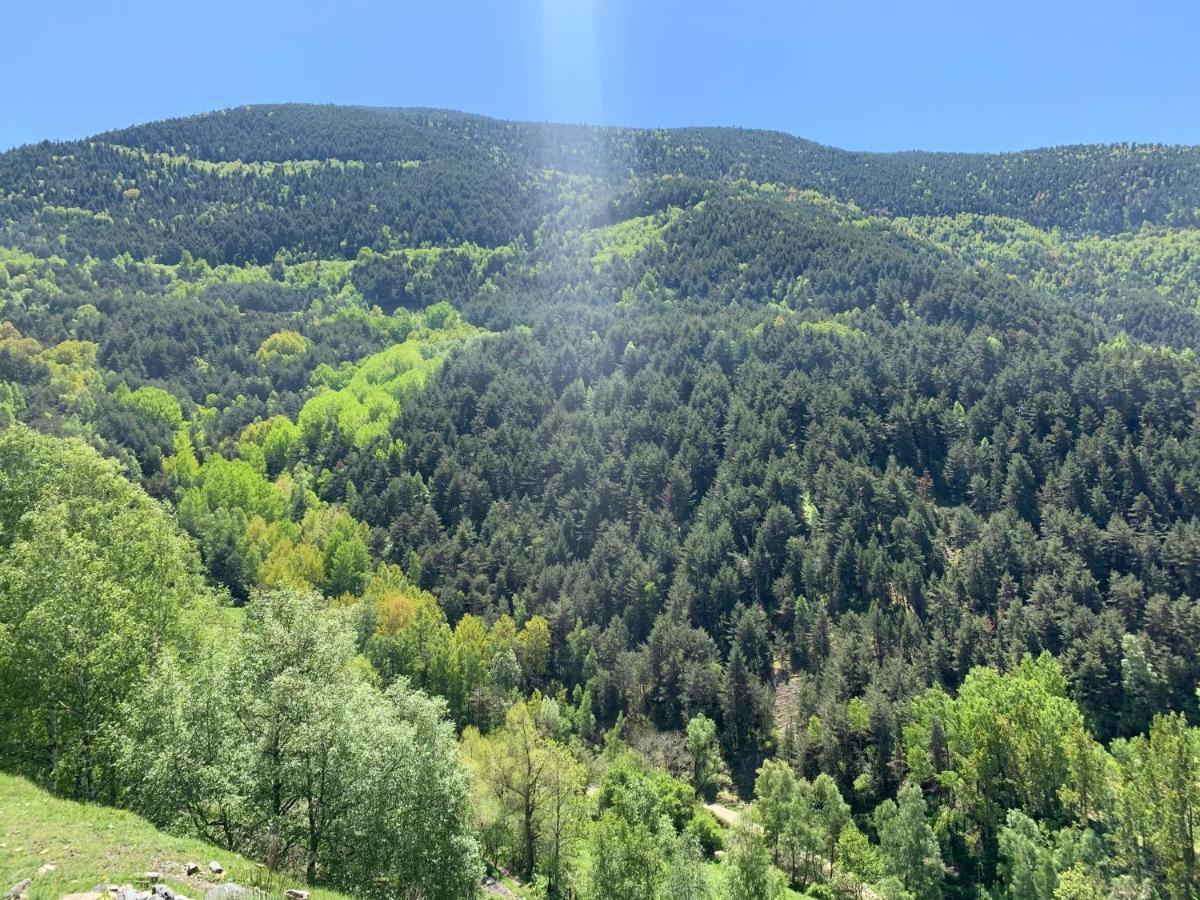 Appartement Siscaro - Peu Del Riu 310 - Vall D'Incles - Soldeu Extérieur photo